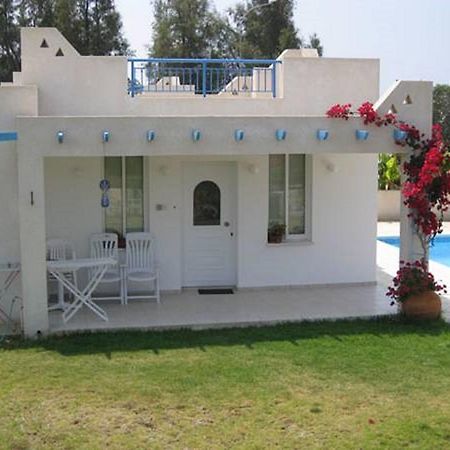 Philippos Paphos Villas - Villa 3 المظهر الخارجي الصورة
